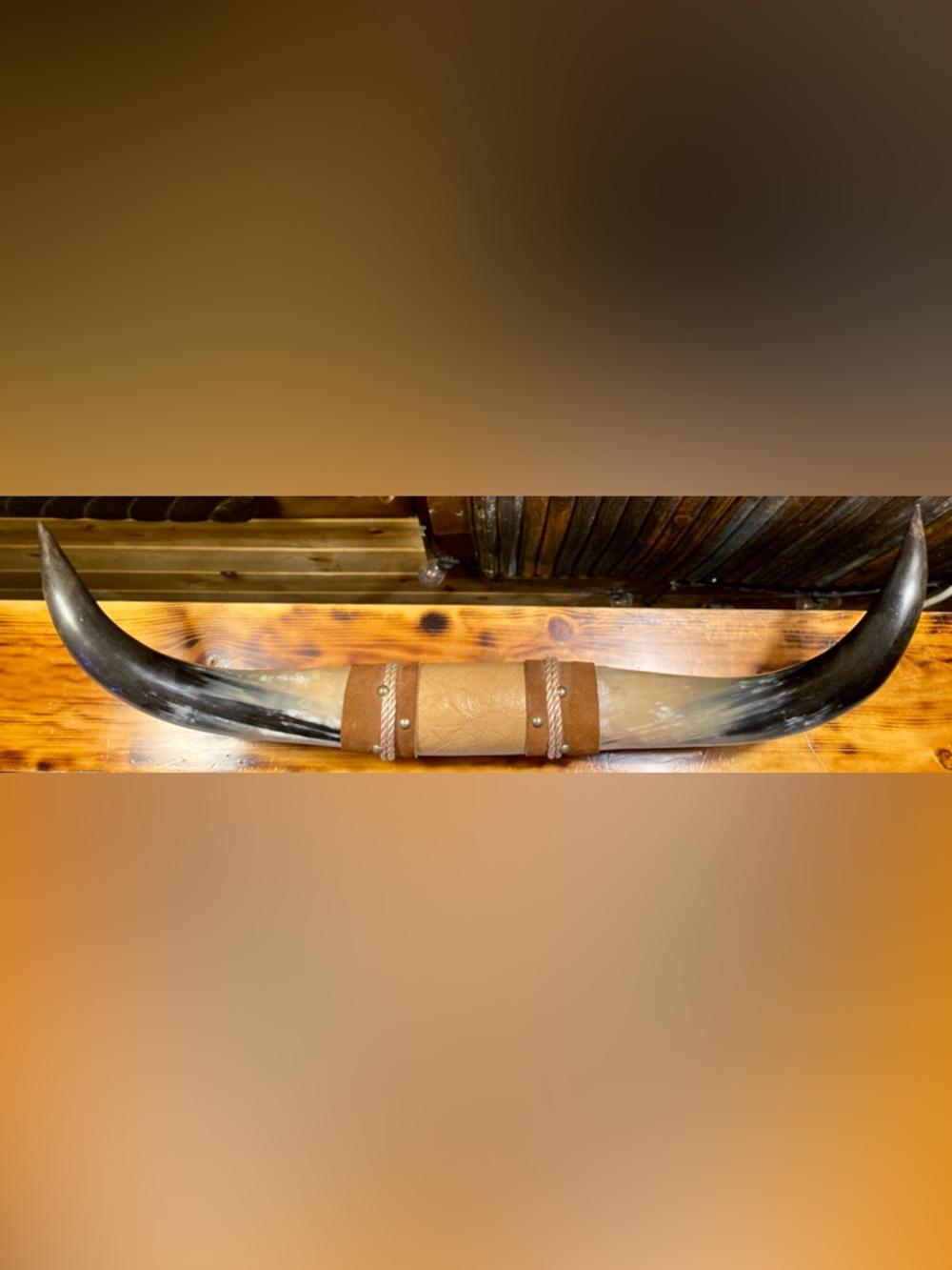 GENUINE MOUNTED STEER HORNS